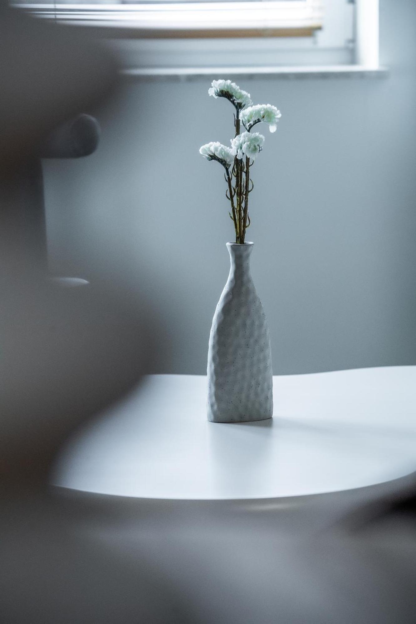 Apartamenty Balijskie 格利维采 外观 照片